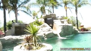 Petite Aliya Brynn gets her pussy filled by 21 huge black cocks