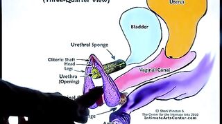 How to make a pussy squirt with the best technique