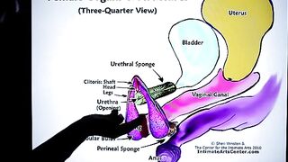 How to squirt? The ultimate guide by Mr. PussyLicking, a true cunilingus enthusiast who’s all about fulfilling female pleasure. His passion shines through in every tutorial, and this one is no exception. Known for his intense and detailed sessions, Mr. Pu