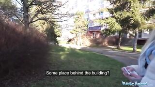 German blonde MILF gets banged by stranger for cash in public place