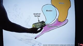 How to Squirt? - The Ultimate Squirting Tutorial by Mr PussyLicking