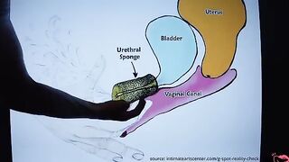 How to Squirt? - The Ultimate Squirting Tutorial by Mr PussyLicking