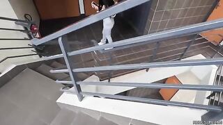Two fake agents fucked the Chilean model with a perfect ass in an elevator and toilet