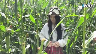 A security guard caught a thief in a cornfield and gave her a ticket
