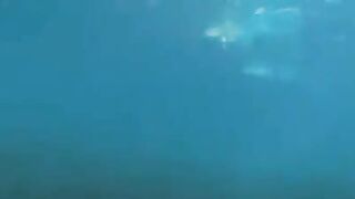 Aqualangists fuck at the depths of the sea, a steamy underwater scene