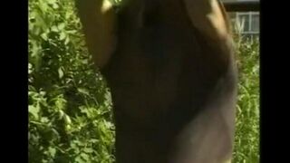 A guy masturbating his big cock in the hayloft, what a sight