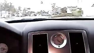 Nikki made a blowjob right in the car, it was quite a sight