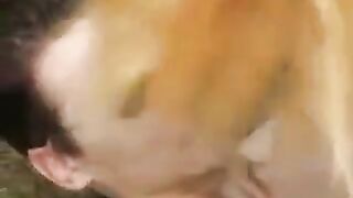 Blonde woman made a blowjob right in the park