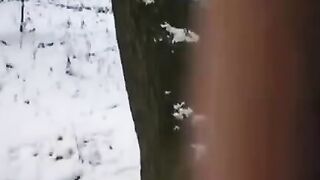 The guy tried to freeze the dick and pussy of the girl in a daring act