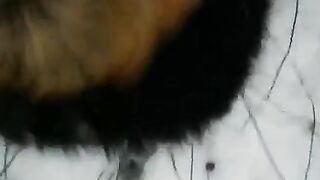 A winter blowjob on the street - a bold move!