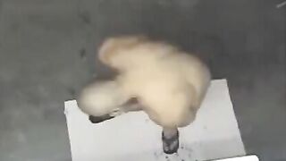 A man washed naked in the shower, not knowing he was being filmed