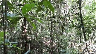 A breath of fresh air and the warmth of her lips on my cock in HD