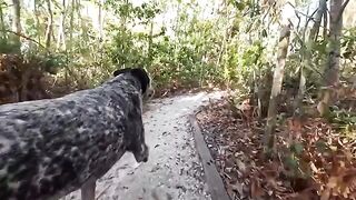 A girl has sex with a guy in the jungle, showcasing raw passion