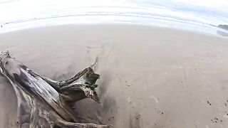 The beach is always damp — from the water and because of the passionate encounters